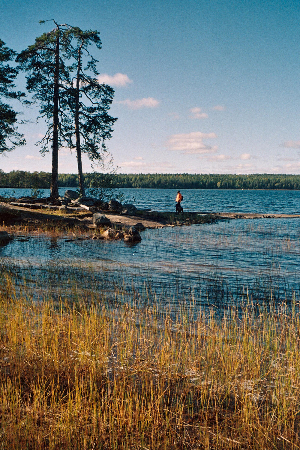 Monokel Eyewear Otis Gold - yellow gradient lens
