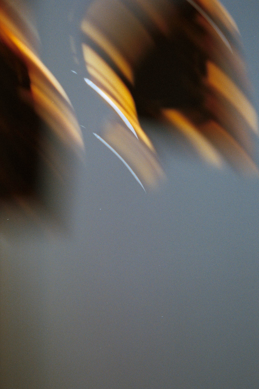 Monokel Eyewear Memphis Havana - grey solid lens